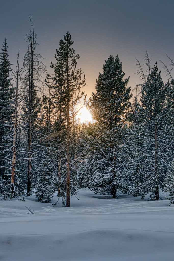 joint pain in cold weather