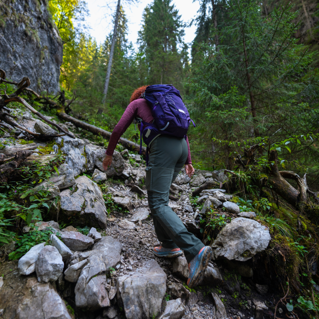 person climbing rocky hiking trail in Maine forest
