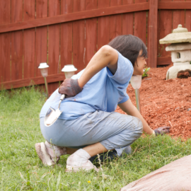Gardening hip pain caused by prolonged bending, kneeling, and repetitive yard work.